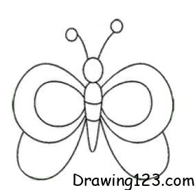 Jak Nakreslit Butterfly Drawing Idea 14