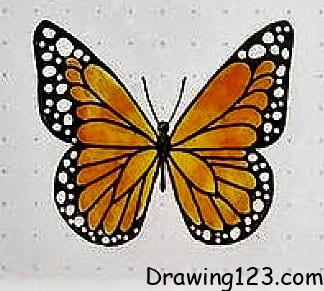 Jak Nakreslit Butterfly Drawing Idea 16