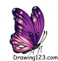 Jak Nakreslit Butterfly Drawing Idea 18
