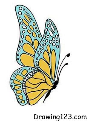 Jak Nakreslit Butterfly Drawing Idea 19