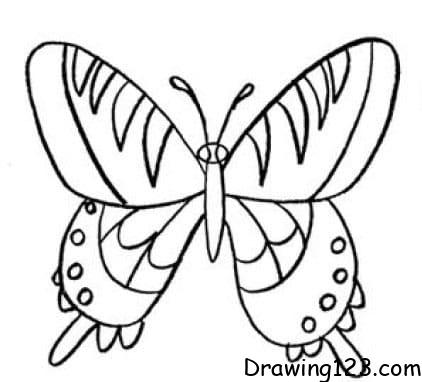 Jak Nakreslit Butterfly Drawing Idea 20