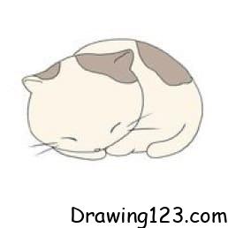 Jak Nakreslit Cat Drawing Idea 16