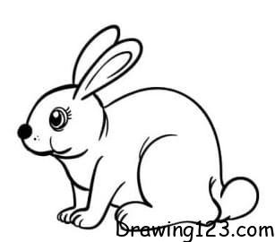 Jak Nakreslit Rabbit Drawing Idea 13