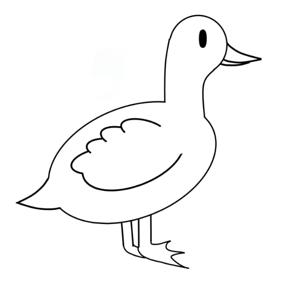 Jak Nakreslit duck-drawing-step-10