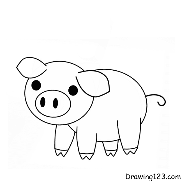 Jak Nakreslit pig-drawing-step-9