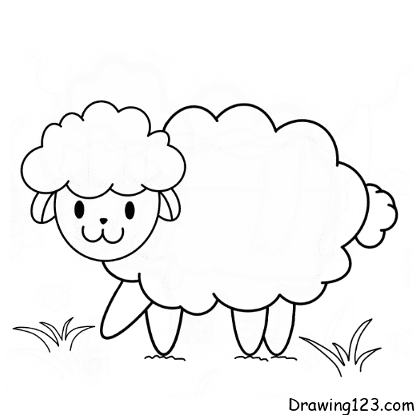 Jak Nakreslit Ovce