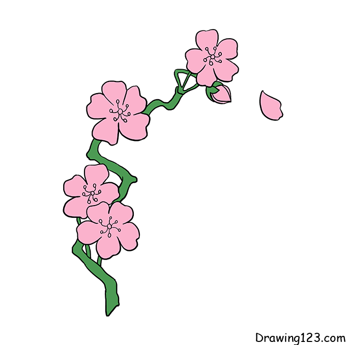 Jak Nakreslit Třešňový květ