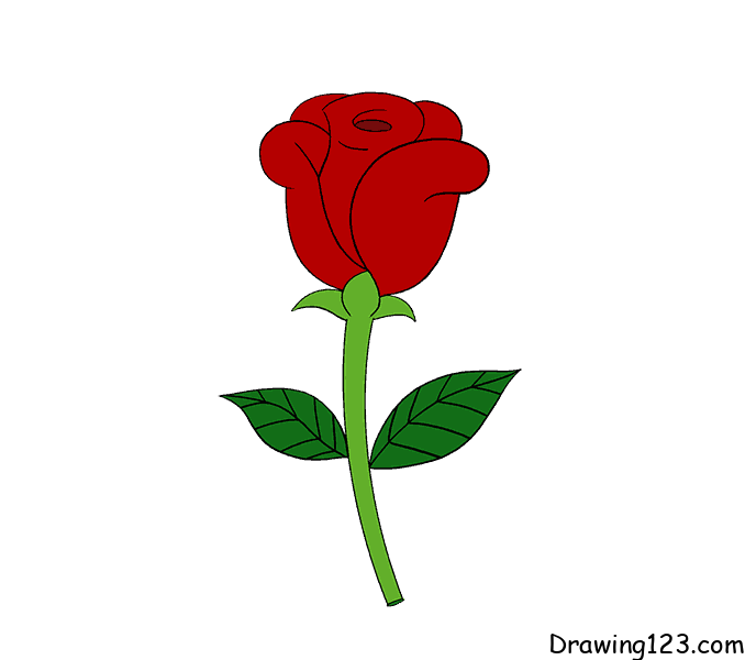 Jak Nakreslit Rose-drawing-step-18