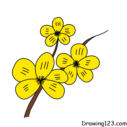 Jak Nakreslit apricot-flowers-drawing-step-4-1