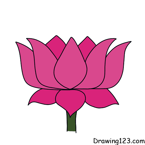 Jak Nakreslit lotus-flower-drawing-step-4-1