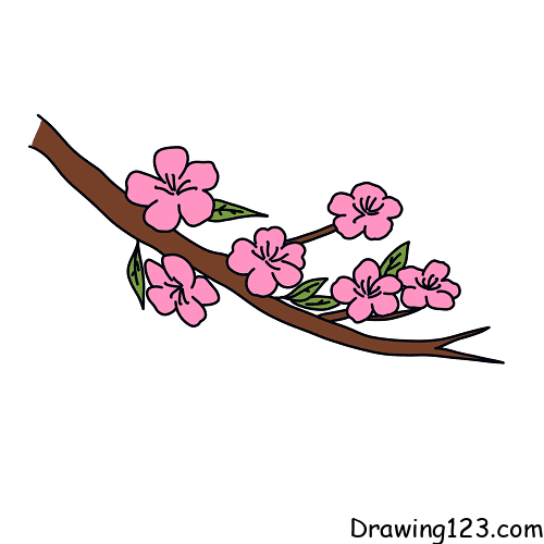 Jak Nakreslit peach-blossom-drawing-step-6