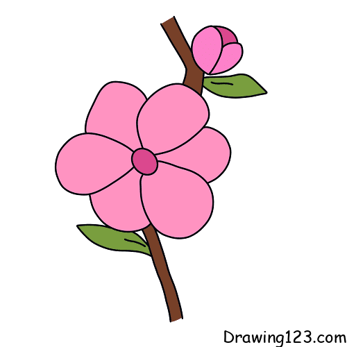 Jak Nakreslit peach-blossom-drawing-step-8