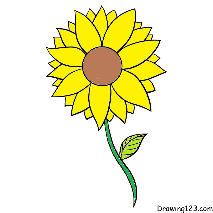 Jak Nakreslit sunflower-drawing-step-7