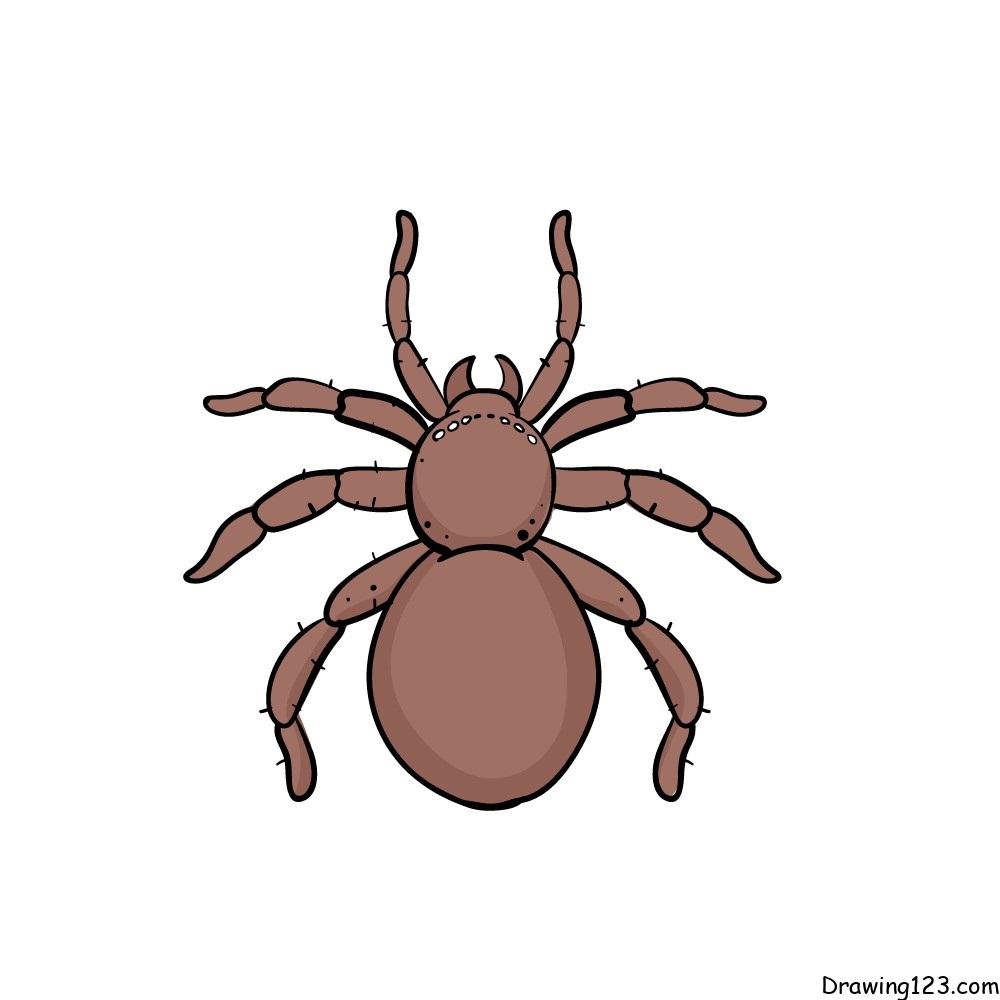 Jak Nakreslit Spider-drawing-step-5