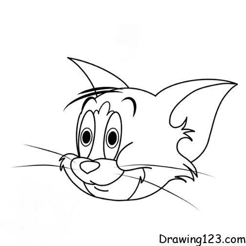 Jak Nakreslit cat-tom-drawing-step-11