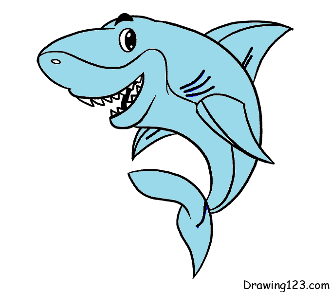 Jak Nakreslit drawing-shark-step-11