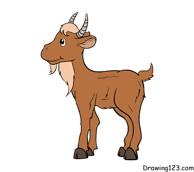 Jak Nakreslit goat-drawing-step-12