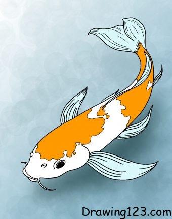 Jak Nakreslit koi-fish-drawing-step-9