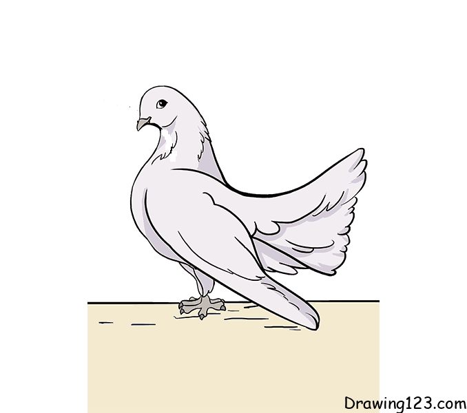 Jak Nakreslit holub (holubica)