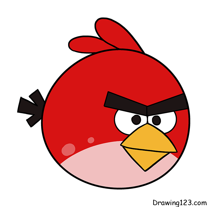 Jak Nakreslit Angry-Bird-drawing-step-8