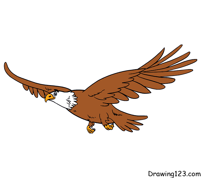 Jak Nakreslit Eagle-drawing-step-11-1