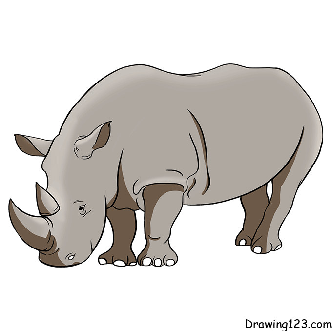 Jak Nakreslit Nosorožce