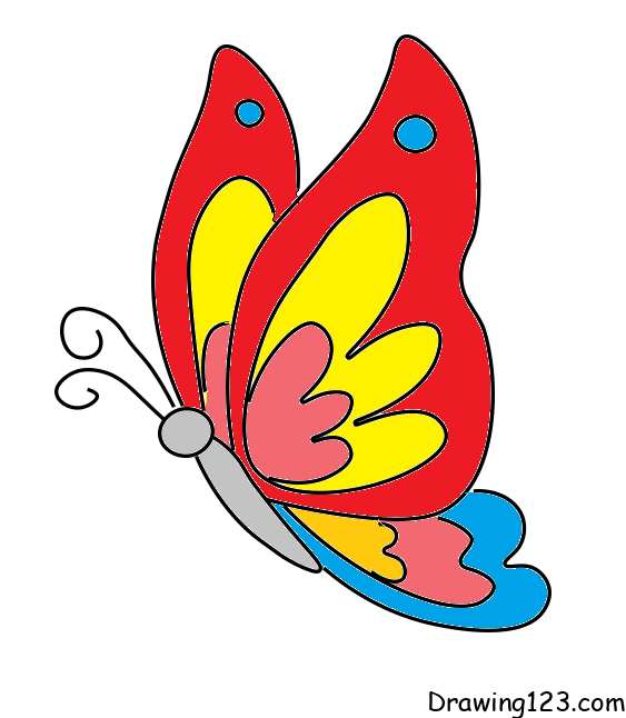 Jak Nakreslit Motýla