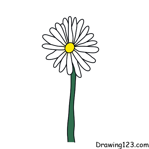 Jak Nakreslit Chrysanthemum-drawing-step-4