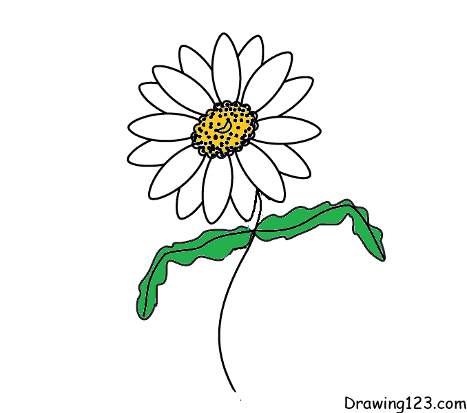 Jak Nakreslit Chrysanthemum-drawing-step-7