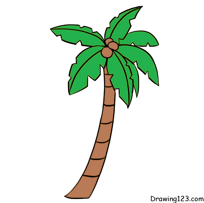 Jak Nakreslit Kokosovou palmu