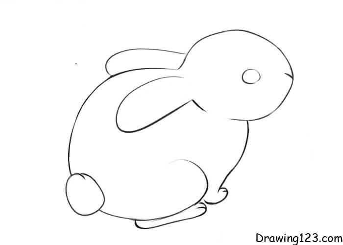 Jak Nakreslit Rabbit-drawing-step-8