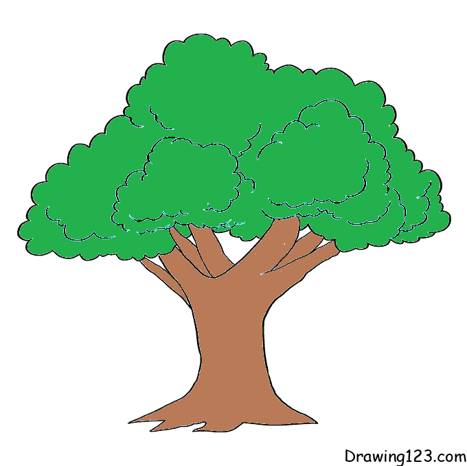 Jak Nakreslit Strom
