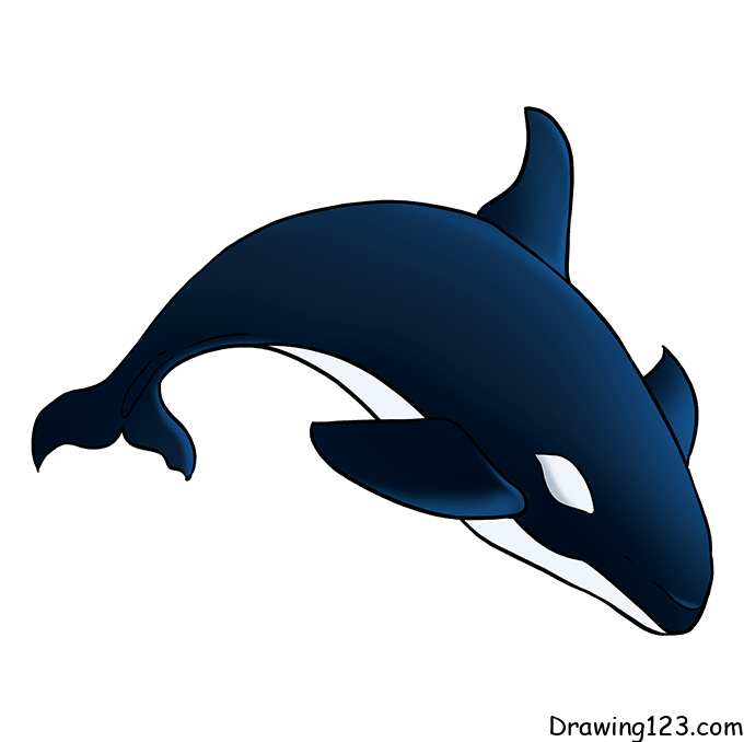 Jak Nakreslit Whale-drawing-step-8