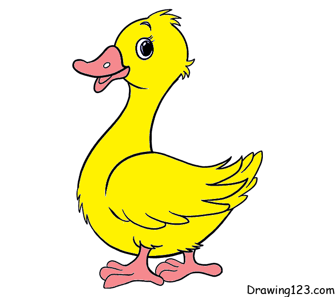Jak Nakreslit duck-drawing-step-9