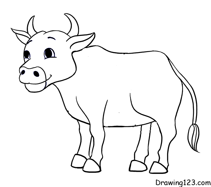 Jak Nakreslit Krávu