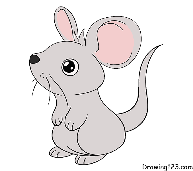 Jak Nakreslit Myš
