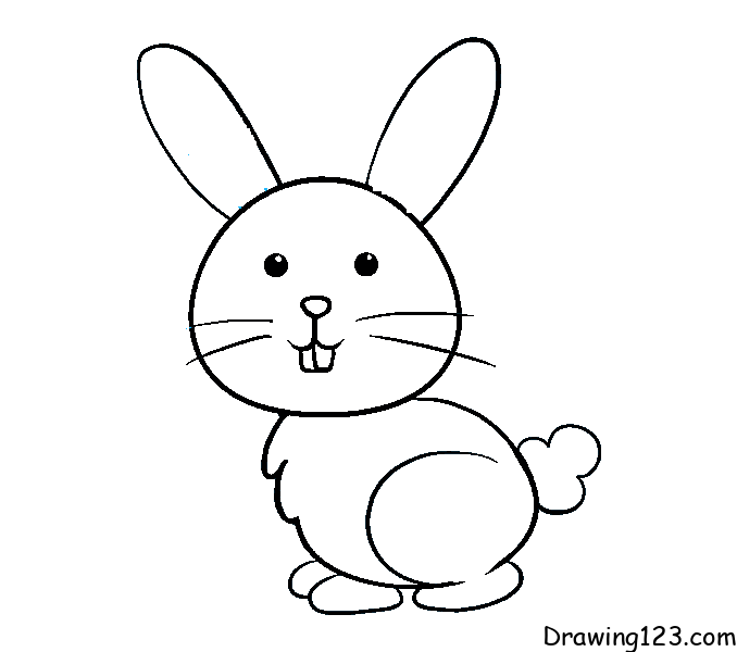 Jak Nakreslit rabbit-drawing-step-7