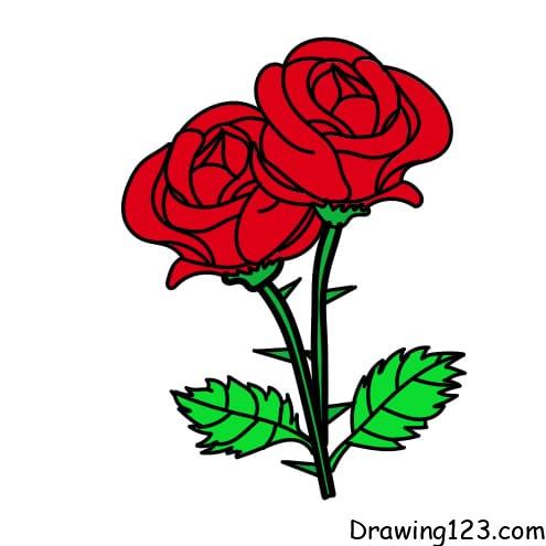 Jak Nakreslit Růži