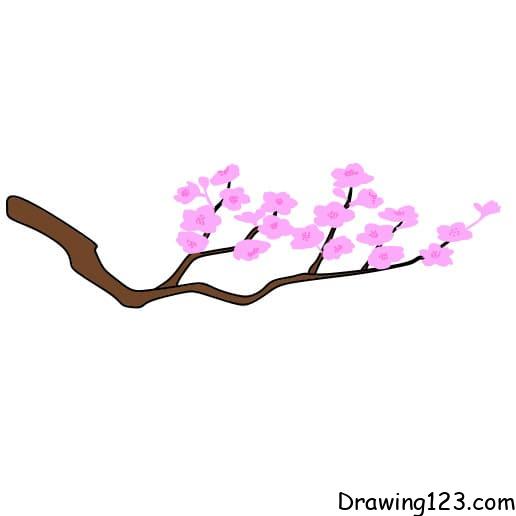 Jak Nakreslit Drawing-Cherry-Blossom-step4