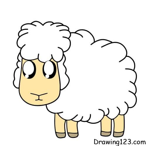 Jak Nakreslit Drawing-sheep-step8-4