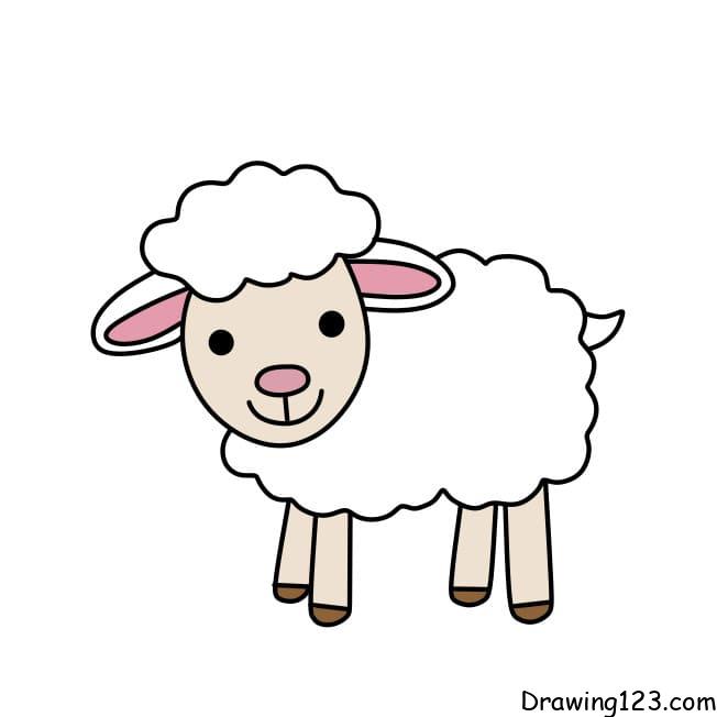 Jak Nakreslit Drawing-sheep-step8