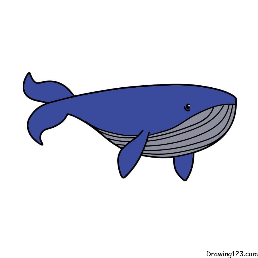 Jak Nakreslit Drawing-whale-step6-1