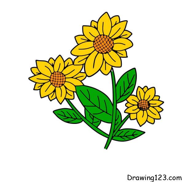Jak Nakreslit drawing-sunflower-step10-1