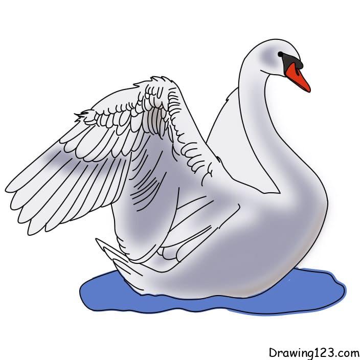 Jak Nakreslit drawing-swan-step-17