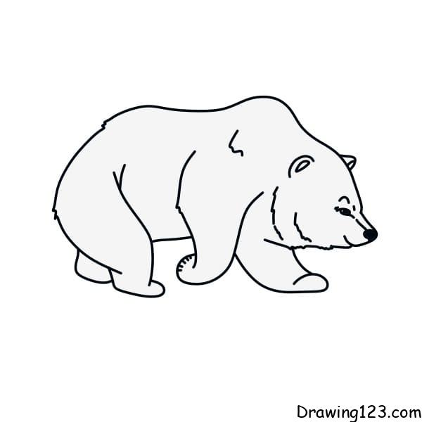 Jak Nakreslit drawing-polar-bear-step9-1