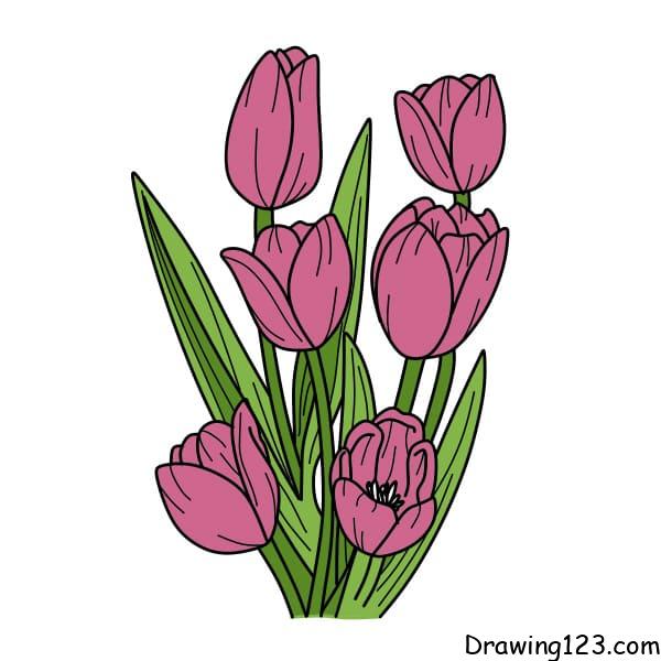 Jak Nakreslit Drawing-Tulips-step-11