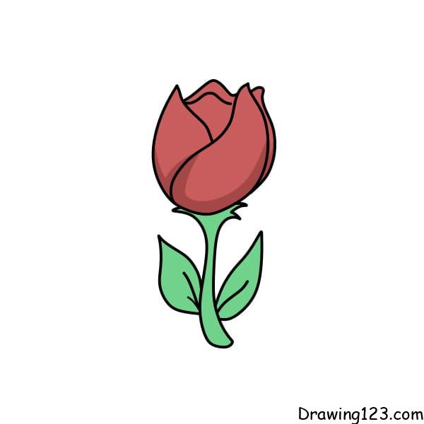 Jak Nakreslit Drawing-Tulips-step-6-1