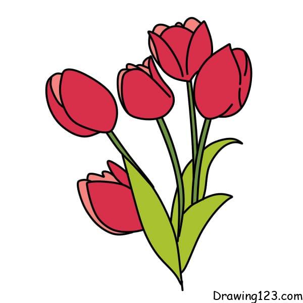 Jak Nakreslit Drawing-Tulips-step-6-3