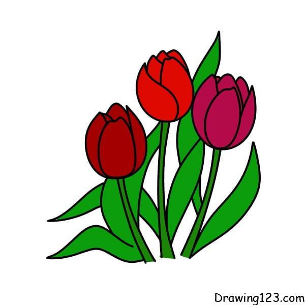 Jak Nakreslit Drawing-Tulips-step-7-1