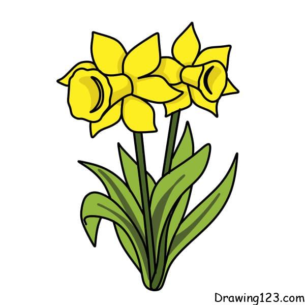 Jak Nakreslit drawing-daffodils-step-9